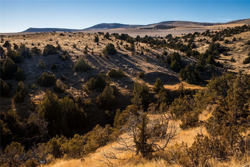 3010 Skinner Road, Belgrade, MT 59714 photo 20