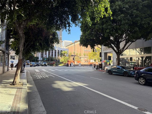 314 6th 405, Los Angeles, CA 90014
