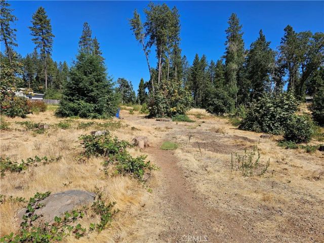 1533 Forest Service Rd, Paradise, CA 95969