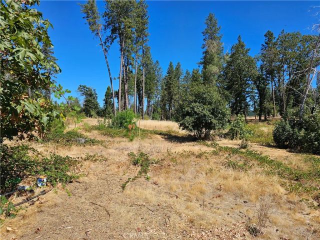 1533 Forest Service Rd, Paradise, CA 95969