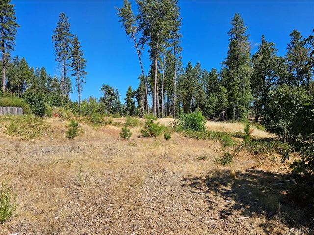 1533 Forest Service Rd, Paradise, CA 95969
