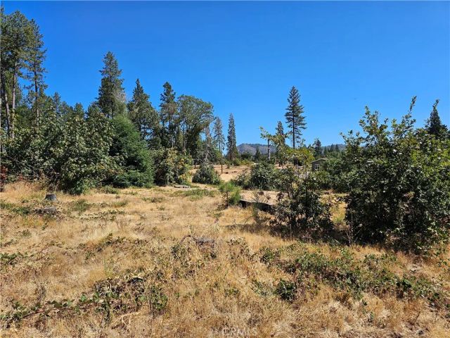 1533 Forest Service Rd, Paradise, CA 95969