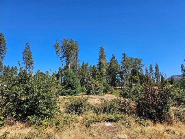 1533 Forest Service Rd, Paradise, CA 95969