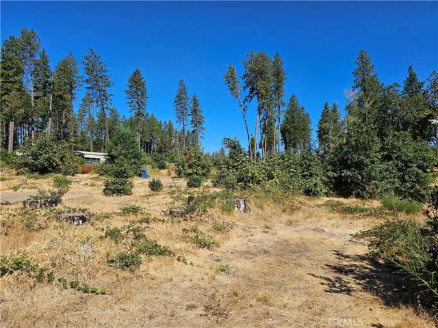 1533 Forest Service Rd, Paradise, CA 95969