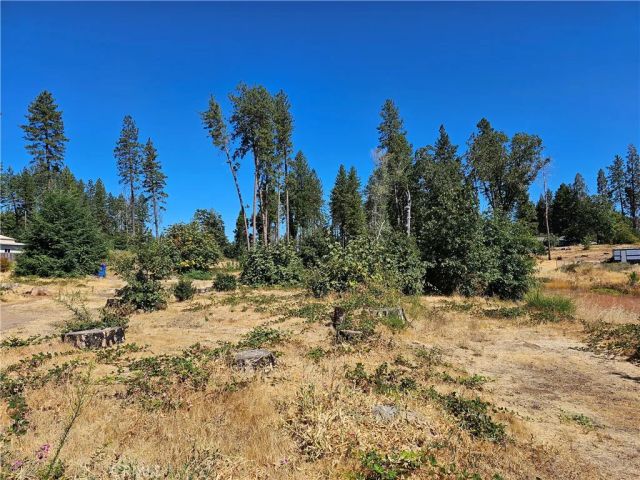 1533 Forest Service Rd, Paradise, CA 95969