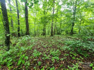 9999 Henry Worley Lane, Marshall, NC 28753