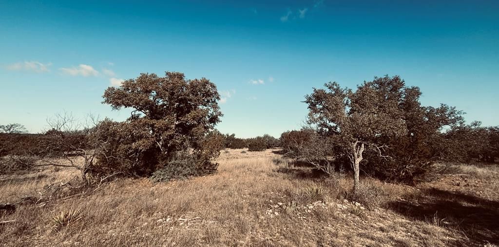 Image 1 of property listing at 320 Turkey Run Rd # 28, Eldorado, TX 76936