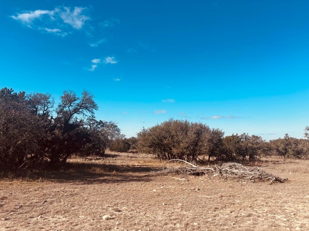 Image 10 of property listing at 320 Turkey Run Rd # 28, Eldorado, TX 76936