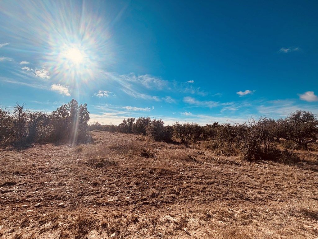 Image 2 of property listing at 320 Turkey Run Rd # 28, Eldorado, TX 76936