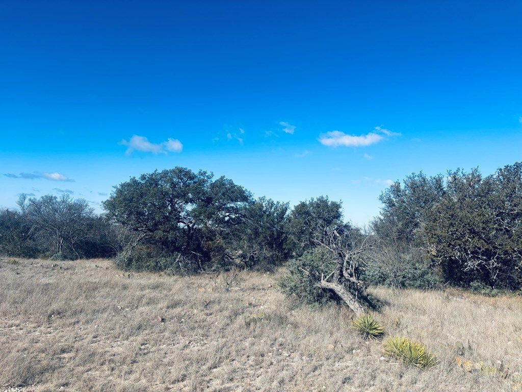 Image 6 of property listing at 320 Turkey Run Rd # 28, Eldorado, TX 76936