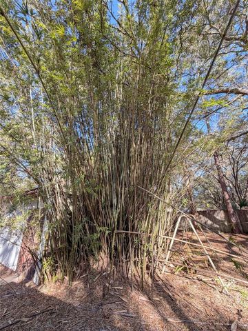 16278 NE 138TH COURT, Fort Mc Coy, FL 32134