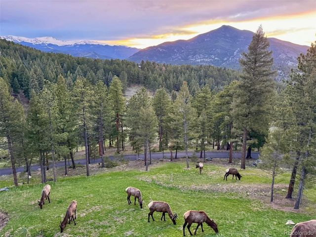 334 Red Lily Place, Evergreen, CO 80439