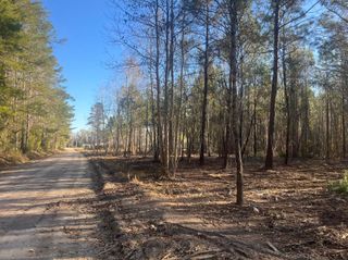 00 Praxis Court, Cottageville, SC 29435