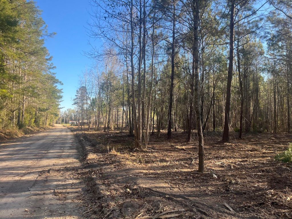 00 Praxis Court, Cottageville, SC 29435