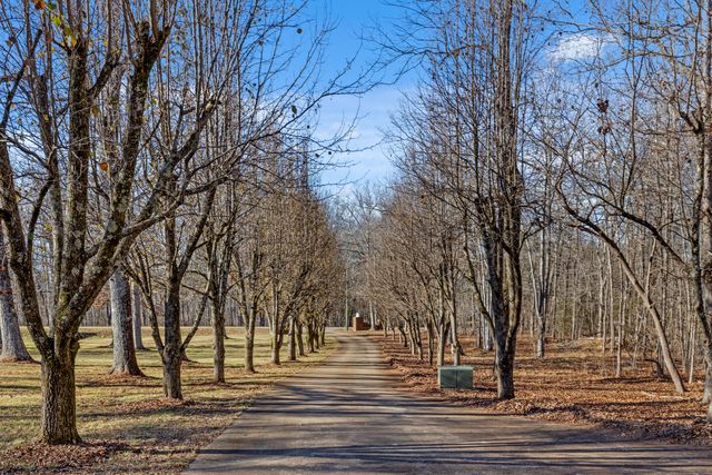 8515 Highway 157, Rising Fawn, GA 30738