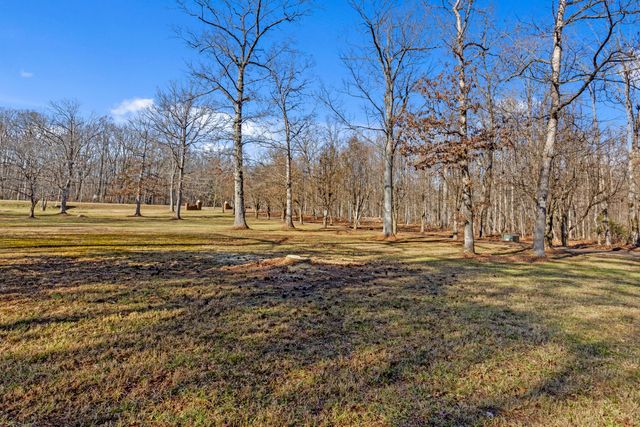 8515 Highway 157, Rising Fawn, GA 30738