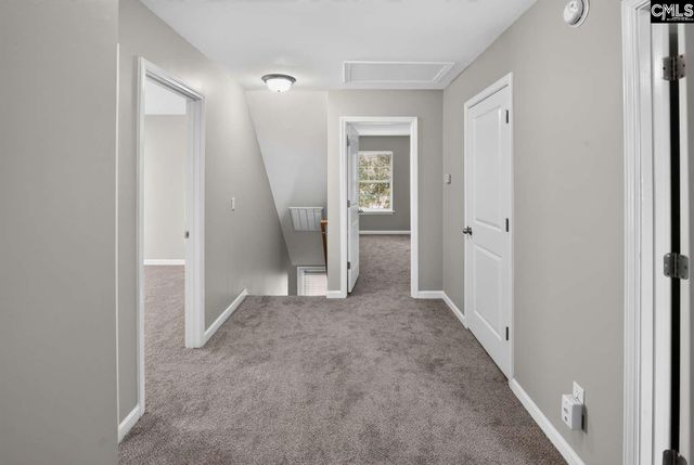 1580 Rabon Farms Lane, Columbia, SC 29223