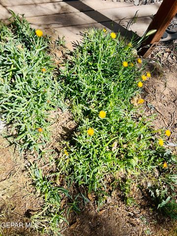 3305 TYRONE Drive, El Paso, TX 79925