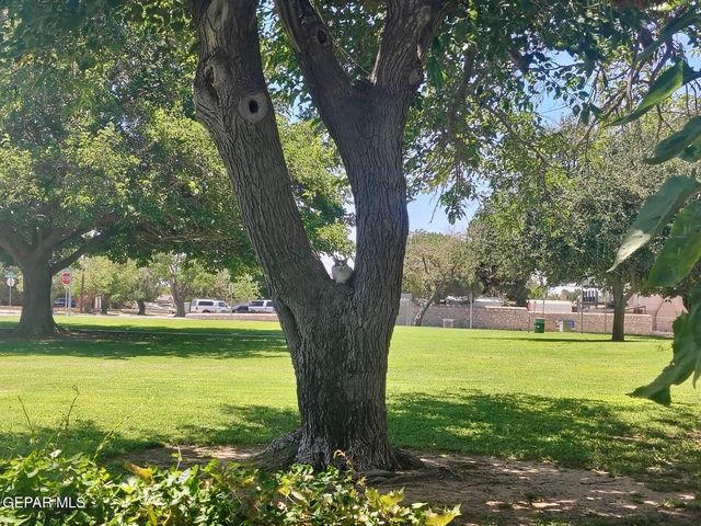 3305 TYRONE Drive, El Paso, TX 79925