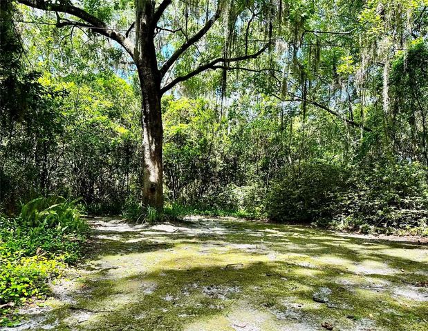 717 NE BOULEVARD, Gainesville, FL 32601