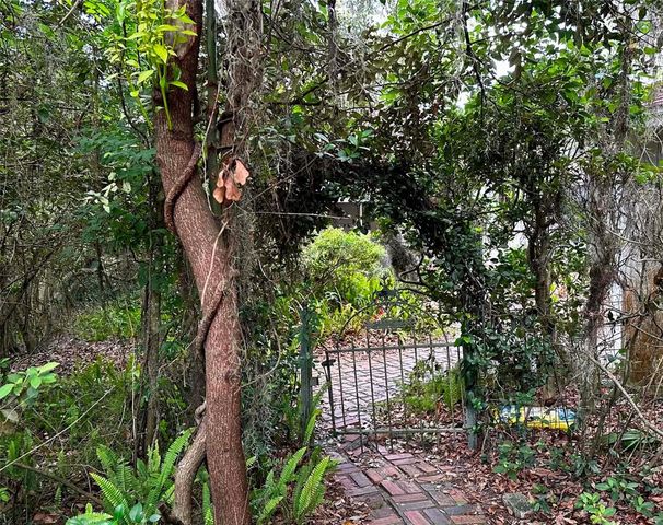 717 NE BOULEVARD, Gainesville, FL 32601
