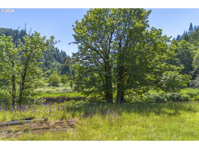 81165 81167 Lower Nehalem Rd, Elsie, OR 97138