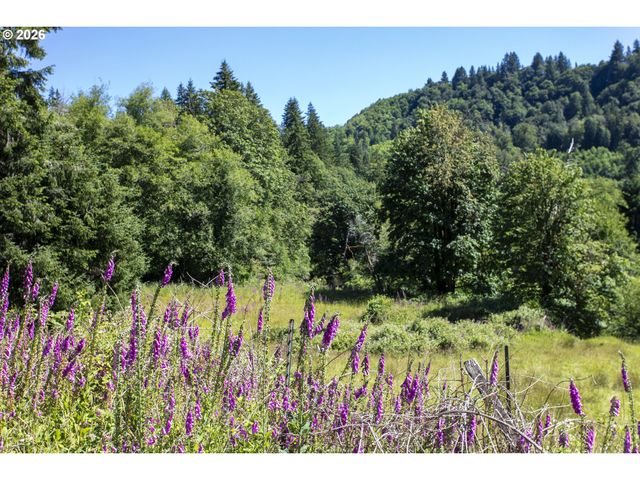 81165 81167 Lower Nehalem Rd, Elsie, OR 97138