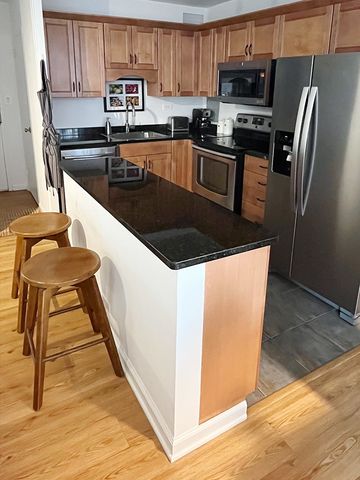 360 W WELLINGTON Avenue 13D, Chicago, IL 60657
