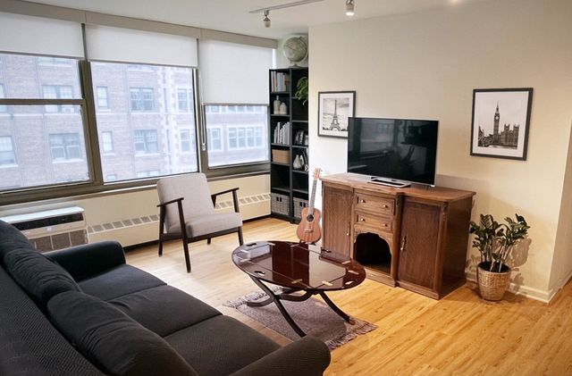 360 W WELLINGTON Avenue 13D, Chicago, IL 60657