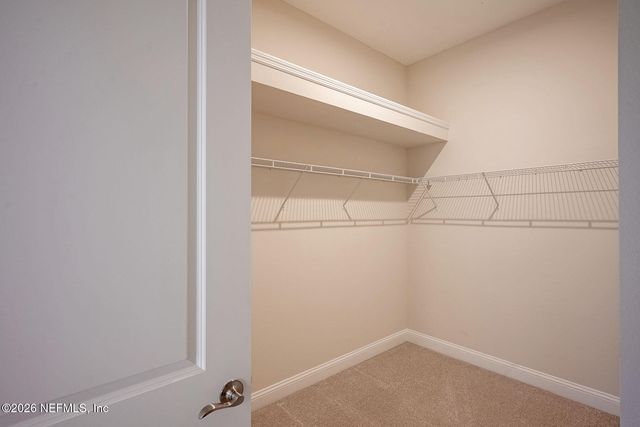 383 LADYSLIPPER Drive, St. Johns, FL 32259