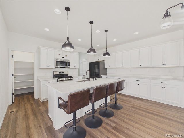 3680 Outcrop Ct, Castle Rock, CO 80108