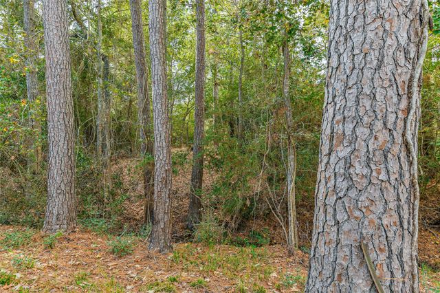 33819 Ansley Road, Magnolia, TX 77355