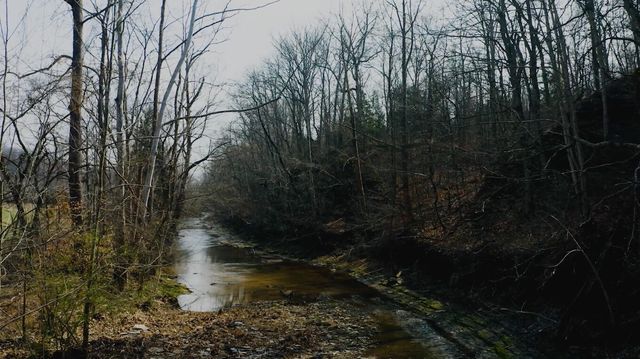 5463 Smiley Hollow Road, Goodlettsville, TN 37072