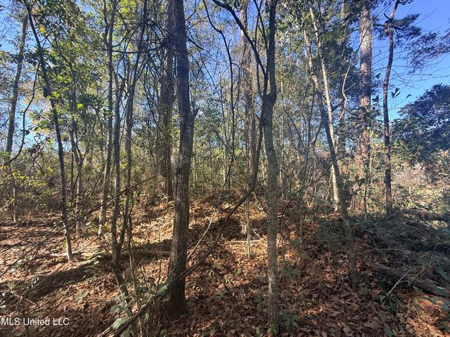 3601 Ling Street, Gautier, MS 39553