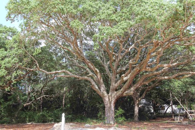 8667 Anniston Drive, Perdido Beach, AL 36530