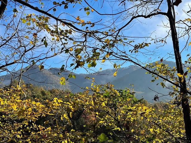 Lot 132A Meadow Ridge Drive, Hayesville, NC 28904