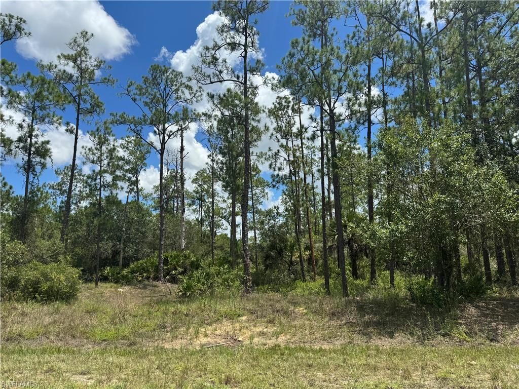 1410 Glenn AVE, LEHIGH ACRES, FL 33972 — exterior