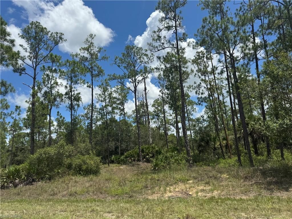 1410 Glenn AVE, LEHIGH ACRES, FL 33972 — photo 2