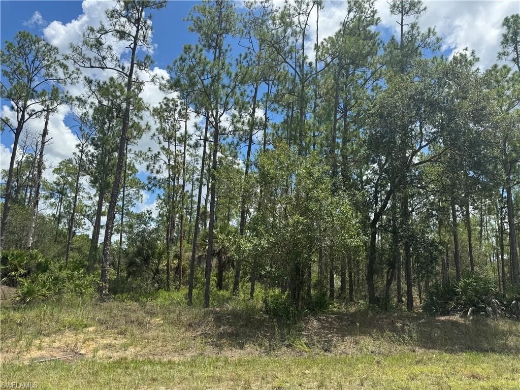 1410 Glenn AVE, LEHIGH ACRES, FL 33972 — photo 3