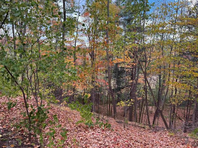 W1069 CTH N, Niagara, WI 54151