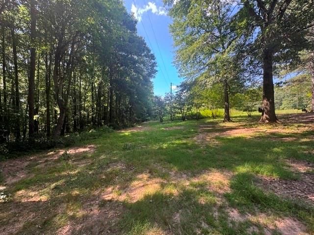 1065 Puckett Road, Auburn, GA 30011