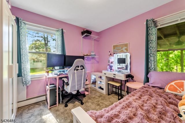 24 High St, Bloomsbury Boro, NJ 08804