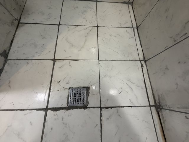 54 Horseshoe Bend Ln, Elmwood, TN 38560