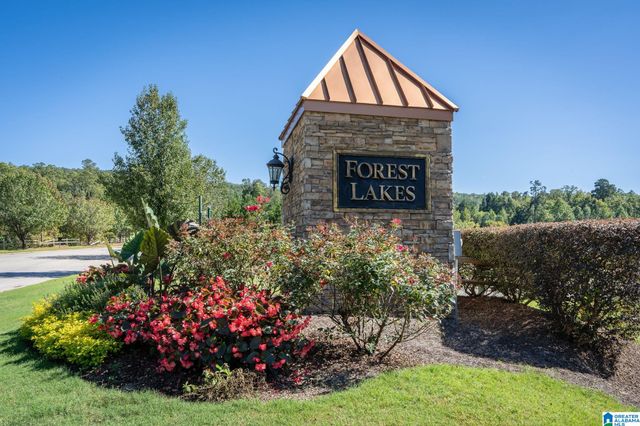 2430 FOREST LAKES LANE, Sterrett, AL 35147