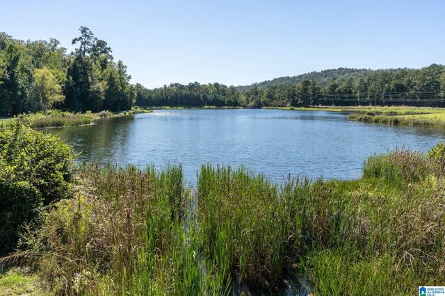 2430 FOREST LAKES LANE, Sterrett, AL 35147