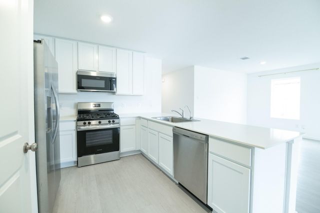 18663 Scopello Drive, New Caney, TX 77357