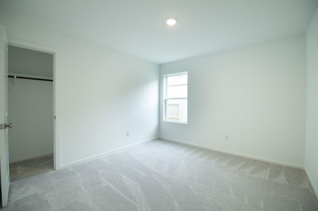 18663 Scopello Drive, New Caney, TX 77357