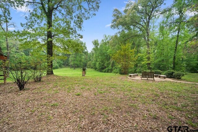 412 VZ COUNTY ROAD 4505, Ben Wheeler, TX 75754