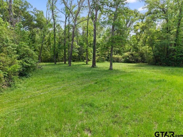 412 VZ COUNTY ROAD 4505, Ben Wheeler, TX 75754