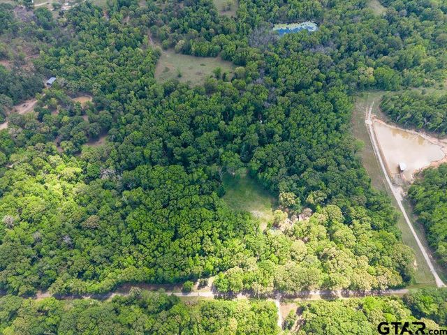 412 VZ COUNTY ROAD 4505, Ben Wheeler, TX 75754
